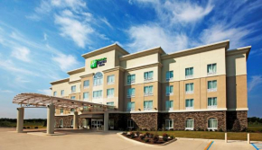 Holiday Inn Express and Suites Bossier City Louisiana Downs, an IHG Hotel